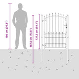 Fence Gate with Spikes Grey 170 x 100 cm Powder-coated steel 42009020
