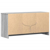 TV Cabinet with LED Grey Sonoma 100x34x50 cm Engineered Wood 852192