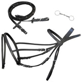 Leather Flash Bridle with Reins and Bit Black Full 90897