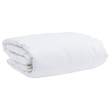 Winter Duvet with Pillow 2 pcs White Down Feather 3376299