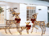 3-Piece Lighted Christmas Reindeer Family Outdoor Decorations, Weather Proof Rattan Deer Family 70445893
