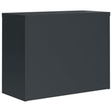 ZNTS File Cabinet Anthracite 90x40x70 cm Steel 339723