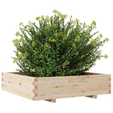 Garden Planter 100x100x26.5 cm Solid Wood Pine 847318