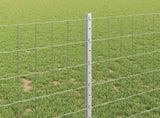 Welded Wire Fence 10 x 1 m Hot-Dip Galvanised Steel 3336163