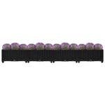 Raised Bed 160x40x23 cm Polypropylene 316529