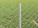 Chain Link Fence with Post 10 x 0.4 m 3336293