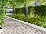 Lawn Edging 10 pcs 103 x 20 cm Steel White 8008472