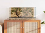 Terrarium with Storage Transparent 60 x 40 x 40 cm Glass 42020391