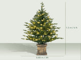 Set of Two Artificial 4ft Christmas Trees, with Lights - Green T3398P424888