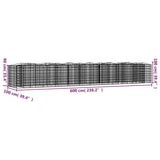 Arched Gabion Raised Bed 600x100x100 cm Galvanised Iron 153556