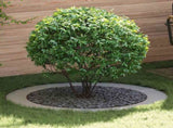 suitable for Flat Tree Ring Silver 90 / 120 cm Galvanised steel 873728