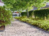 Lawn Edging 50 pcs 10 x 103 cm Cold-rolled steel Anthracite 860138