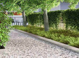 Lawn Edging 4 pcs Silver 450 x 0.05 x 25 cm Galvanised Steel 868037