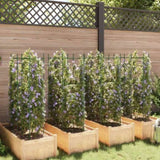 Tomato Cages 8 pcs 116 cm Steel and PP 3281491
