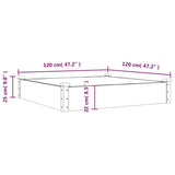 Garden Raised Bed with Liner Grey 120x120x25 cm Solid Wood Fir 364294