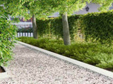 Lawn Edging 30 pcs 102 x 10 x 4 cm Steel White 8008747