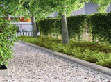 Lawn Edging 4 pcs Silver 450 x 0.05 x 15 cm Galvanised Steel 868025