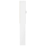Toilet Cabinet HAARLEM High Gloss White 66 x 25.5 x 190 cm 896919