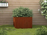 Planter 49x47x46 cm Corten Steel 821551
