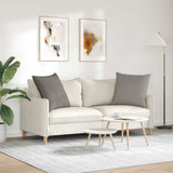 Sofa Pillows 2 pcs Taupe 80 x 80 cm Fabric 42014046