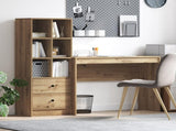 Desk with Drawer with Shelf with Storage 2 pcs Artisan Oak 3337336