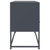 TV Cabinet Anthracite 100.5x39x60.5 cm Steel 846544