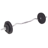 Workout Bench with Weight Rack, Barbell and Dumbbell Set 90 kg 275371