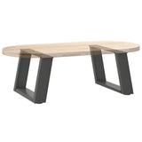 Coffee Table Legs U-Shaped 2 pcs Anthracite 50x cm Steel 4012746