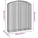Arched Gabion Basket 200x50x220/240 cm Galvanised Iron 153481