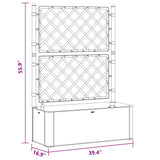 Garden Raised Bed with Trellis and Self Watering System Grey 317578