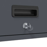 Wall Cabinet for Garage with Gas-lift Door Anthracite 883282