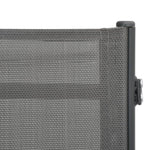 Sun Loungers 2 pcs Textilene and Steel 47848