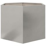 ZNTS Garden Planter Hexagon 69x60x45 cm Stainless Steel 851126