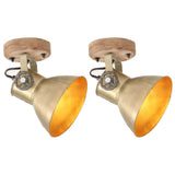 320509 Industrial Wall/Ceiling Lamps 2 pcs Brass 20x25 cm E27