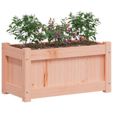 Garden Planters 2 pcs Solid Wood Douglas 837446