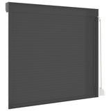 Roller Shutter Manual Anthracite 160 x 150 cm 42047074