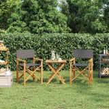 Folding Director's Chairs 2 pcs Grey Solid Wood Teak 4008513