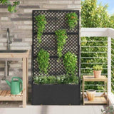 Garden Trellis Planter Black 70 x 30 x 135 cm Metal 366616