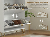 Shoe Storage Cabinet 42579361