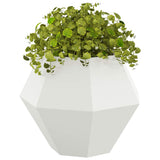 Planter 2 pcs White 75 x 75 x 60 cm Steel 884041