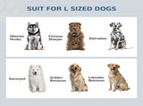 Elevated Dog Bowl 21189617