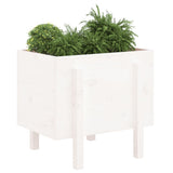 Garden Planter White 62x50x57 cm Solid Wood Pine 825206