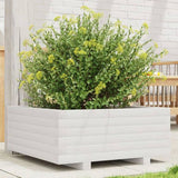 Garden Planter White 60x60x26.5 cm Solid Wood Pine 847299