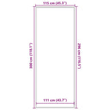 Doormat Grey 115x300 cm 4105642