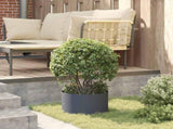 Planter Ring 5 pcs Anthracite 30 x 30 x 20 cm Cold-rolled Steel 873597