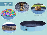 Dog Pool 64426313