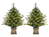 Set of Two Artificial 4ft Christmas Trees, with Lights - Green T3398P424888