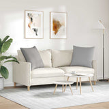 Sofa Pillows 2 pcs Cloud Grey 80 x 80 cm Fabric 42014053