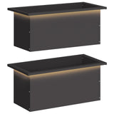 Garden Planter with LED 2 pcs Black 30 x 60 x 30 cm Steel 8008085