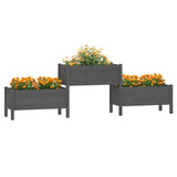 Planter Grey 245.5x44x75 cm Solid Wood Pine 822254